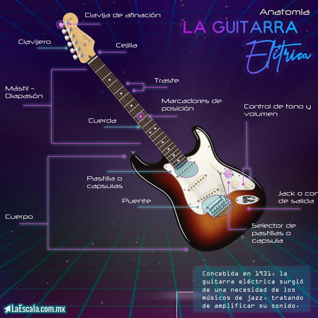 Anatomia de la guitarra electrica