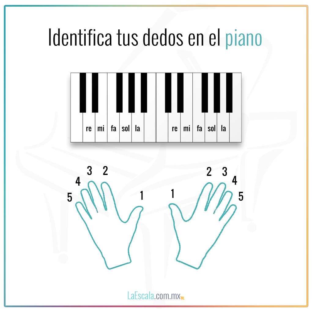 corriente piel censura Conoce el piano y aprende desde cero | La Escala