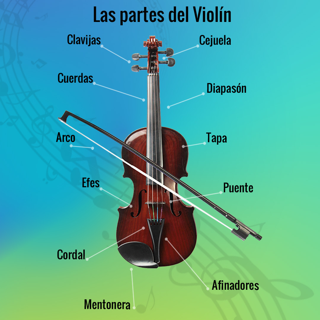 partes más importantes del violín